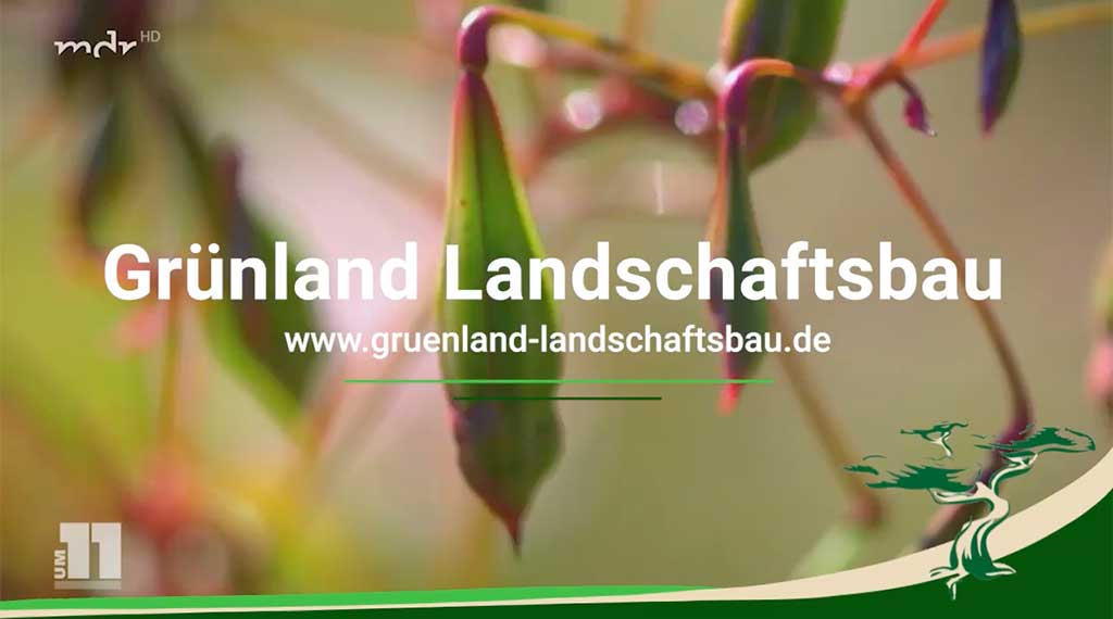 Grünland Landschaftsbau