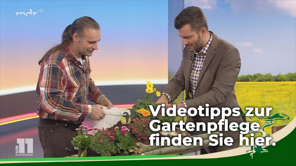 Gartentipps