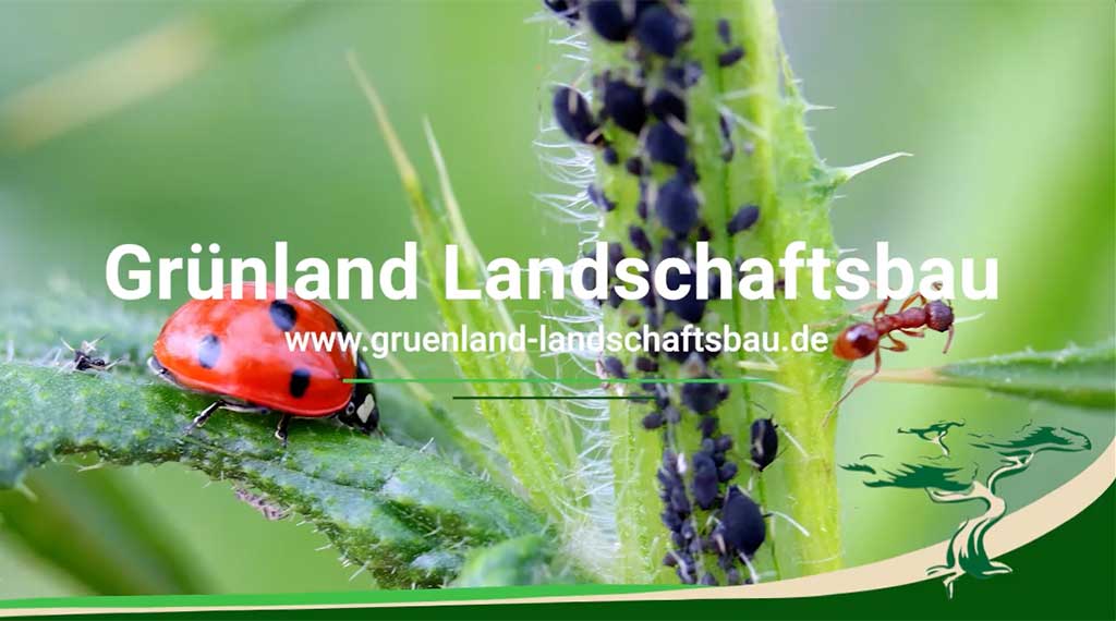 Grünland Landschaftsbau