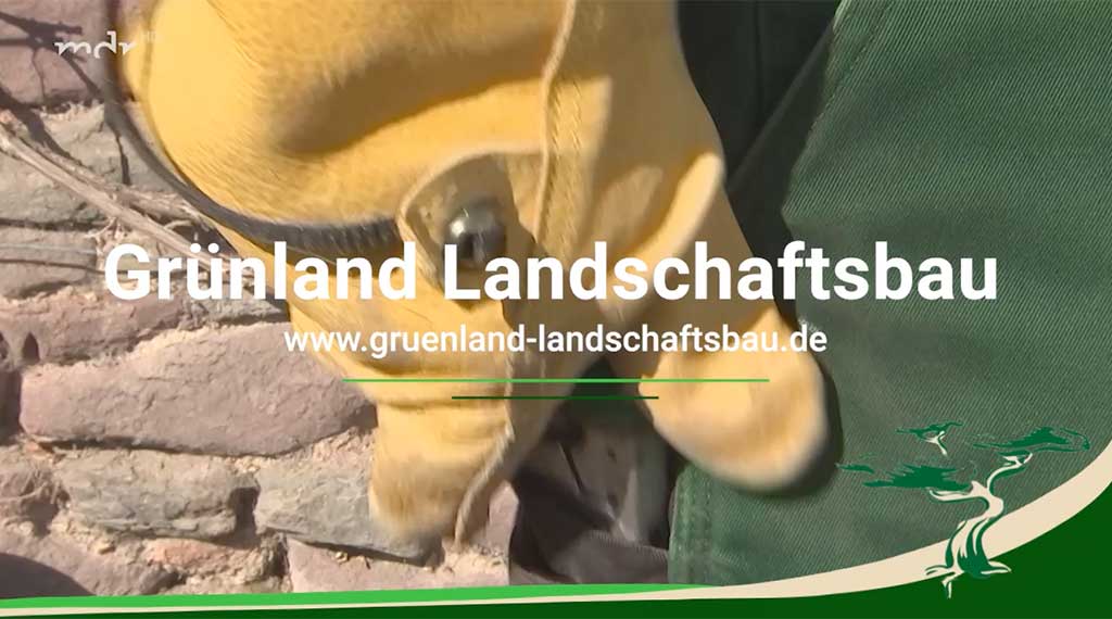 Grünland Landschaftsbau