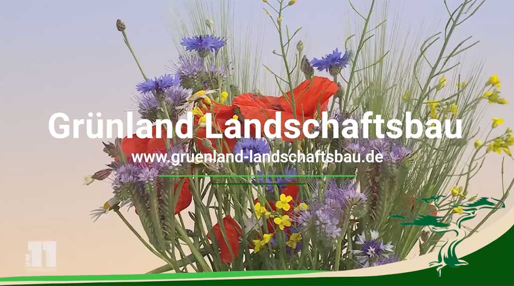 Grünland Landschaftsbau