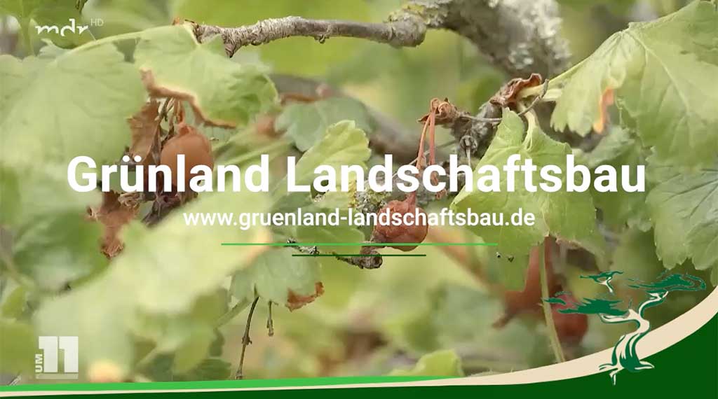 Grünland Landschaftsbau