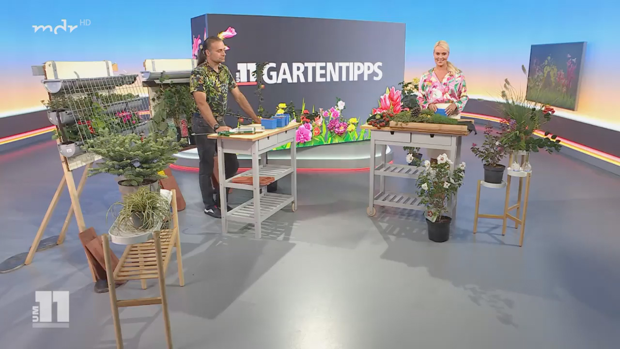 Gartentipp Video Dach- und Fassadenbegrünung